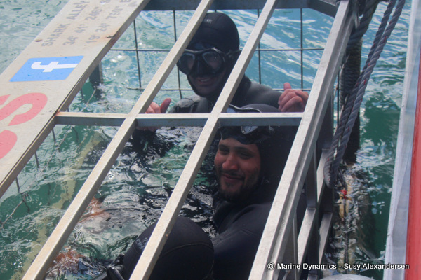 Shark Cage Diving, South Africa