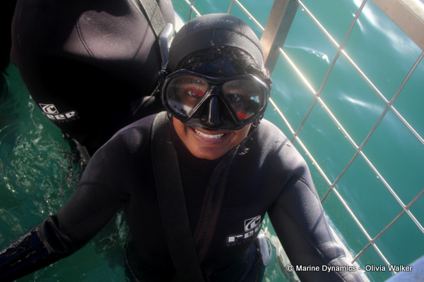 Shark Cage Diving, South Africa