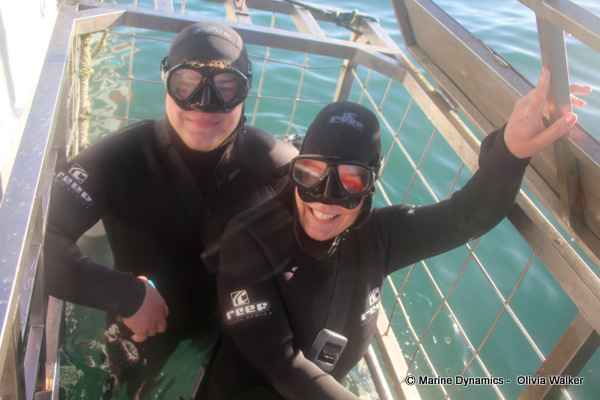 Shark Cage Diving, South Africa