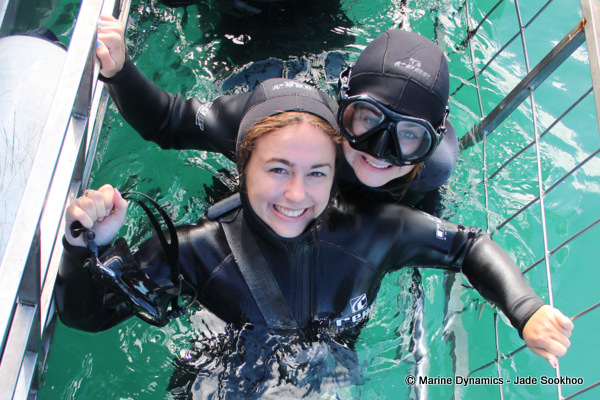 Shark Cage diving, South Africa