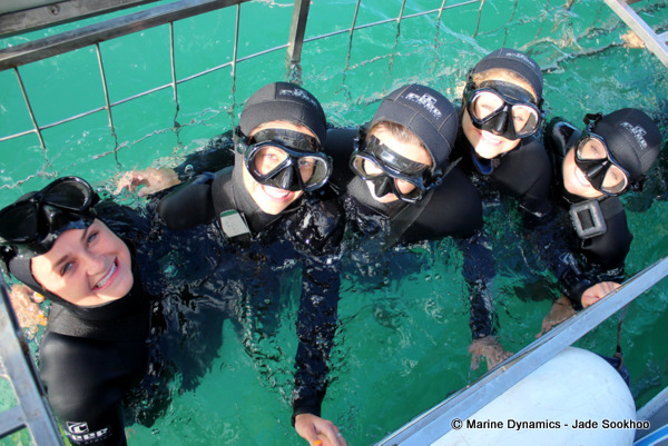 Shark Cage diving, South Africa