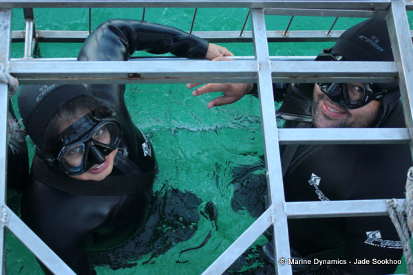 Shark Cage diving, South Africa