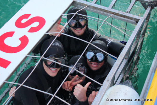 Shark Cage diving, South Africa
