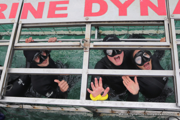 Shark cage diving, GAnsbaai, South Africa
