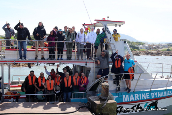 Shark Cage Diving, South Africa