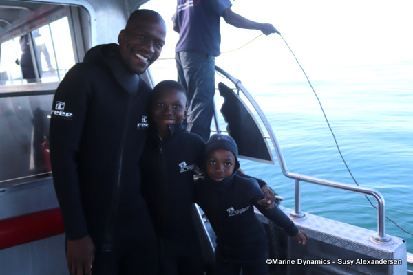 shark cage diving, marine dynamics