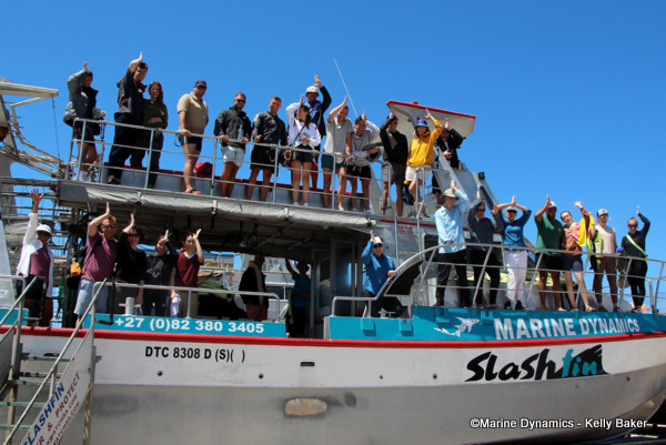 Shark cage diving, South Africa