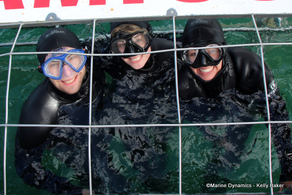 Shark cage diving, South Africa