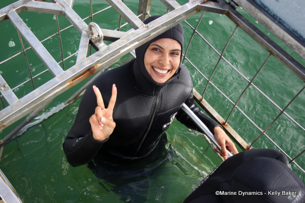 Shark cage diving, South Africa