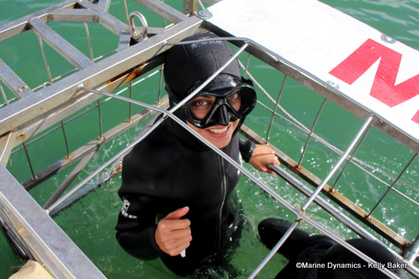 Shark cage diving, South Africa