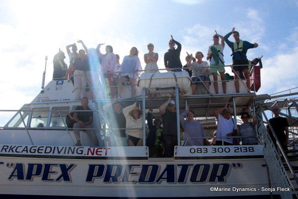 Shark cage diving, South Africa
