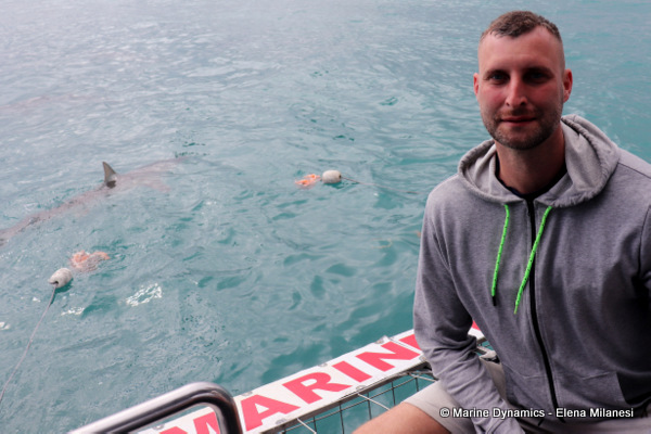 Shark cage diving, South Africa 