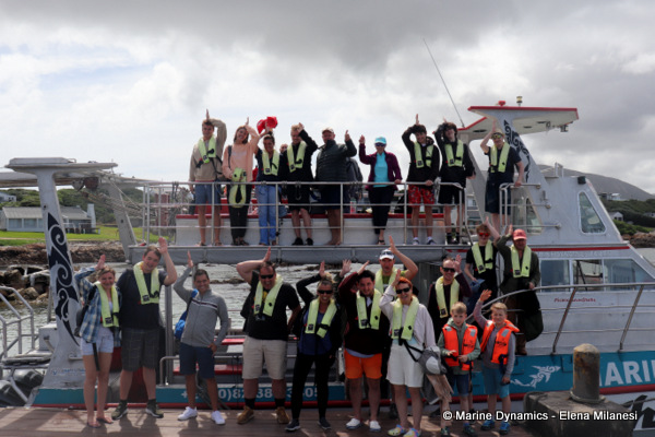 Shark cage diving, South Africa