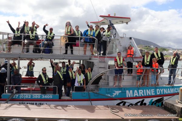 shark cage diving, South Africa