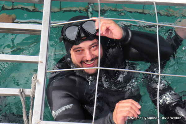 shark cage diving, South Africa