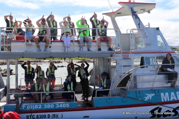 shark cage diving, South Africa