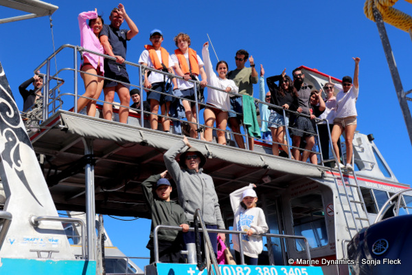 Shark cage diving, South Africa