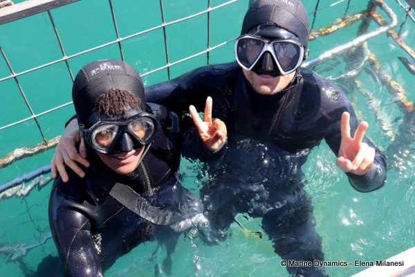 Shark cage diving, South Africa