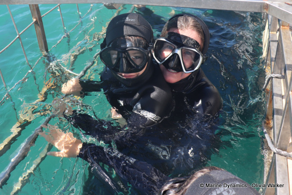 Shark Cage Diving, South Africa
