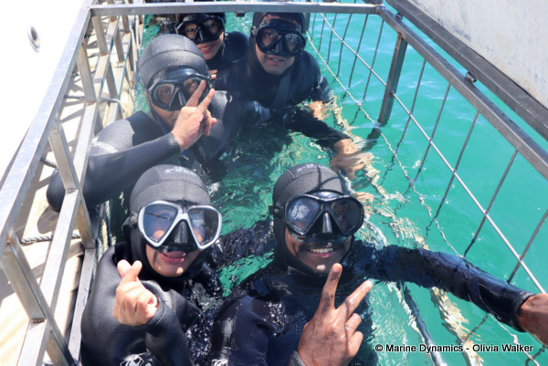Shark Cage Diving, South Africa