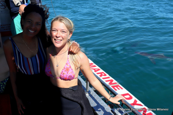 Shark Cage Diving, South Africa
