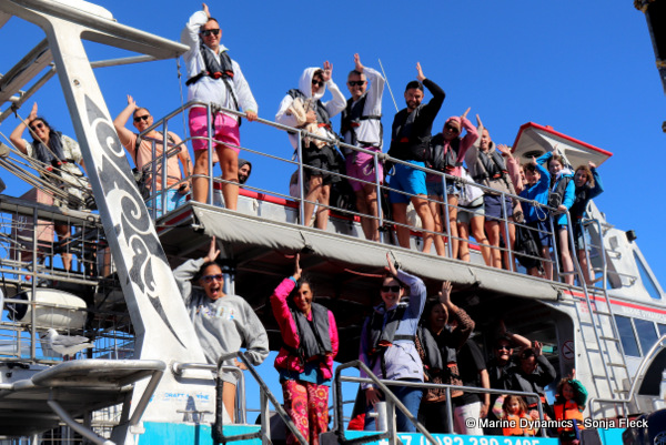 Shark Cage Diving, South Africa