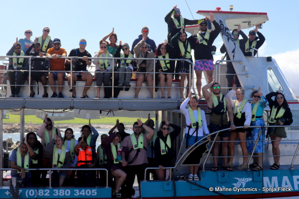 Shark cage diving, South Africa