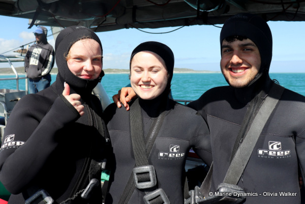 Shark cage diving, South Africa