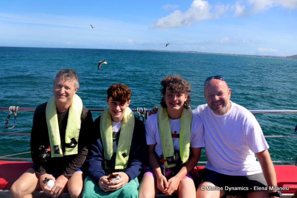 Shark cage diving, South Africa