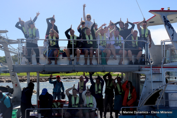 Shark cage diving, South Africa
