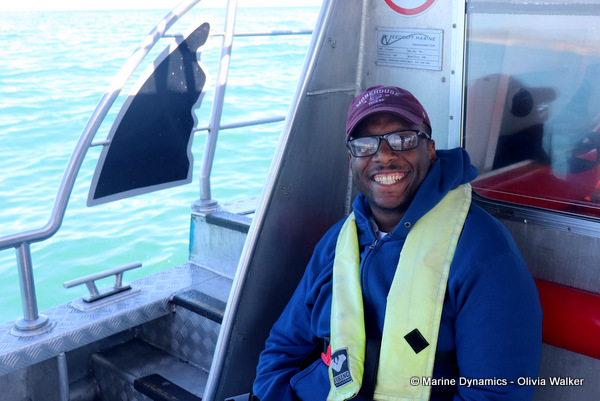 shark cage diving, South Africa