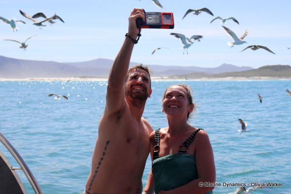 shark cage diving, South Africa