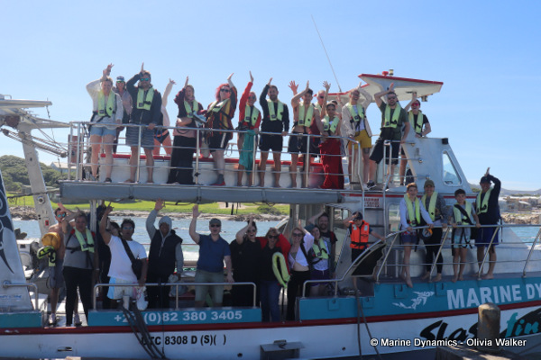 shark cage diving, South Africa