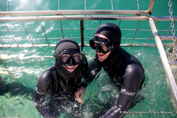 Shark Cage Diving, South Africa