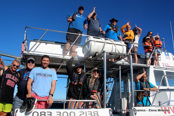 Shark Cage Diving, South Africa