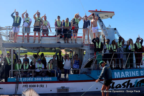 Shark cage diving, South Africa
