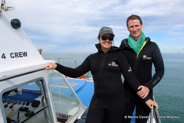 Shark cage diving, South Africa