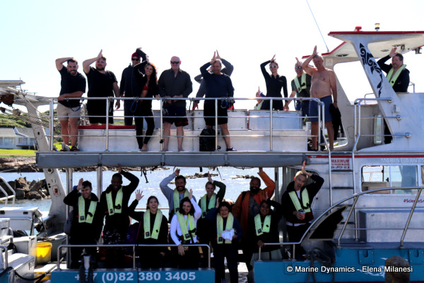 Shark cage diving, South Africa 