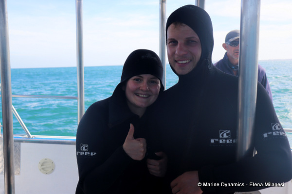 Shark cage diving, South Africa