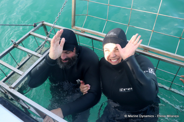 Shark cage diving, South Africa