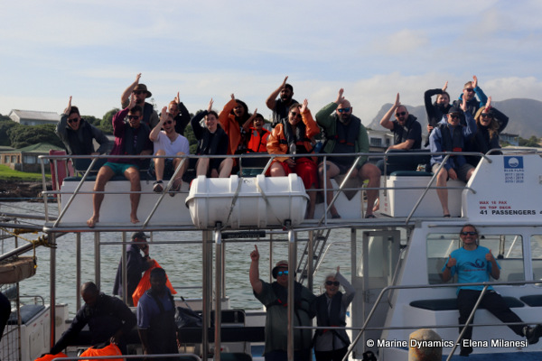 Shark cage diving, South Africa