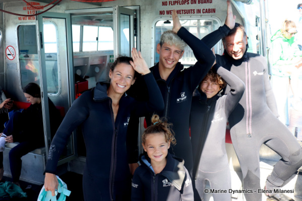 shark cage diving, South Africa
