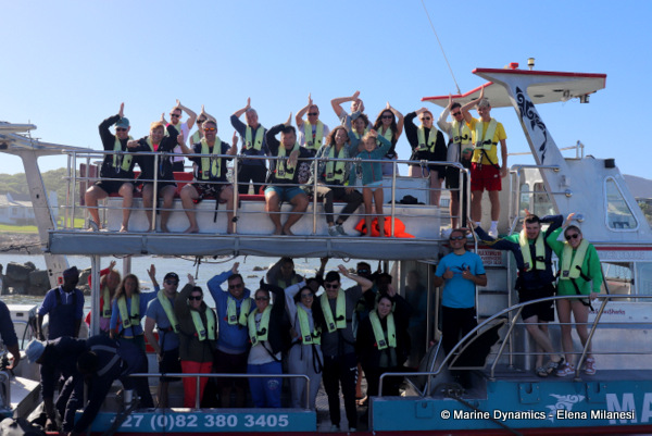 shark cage diving, South Africa