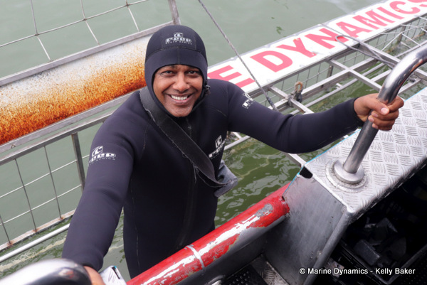 Shark cage diving, South Africa