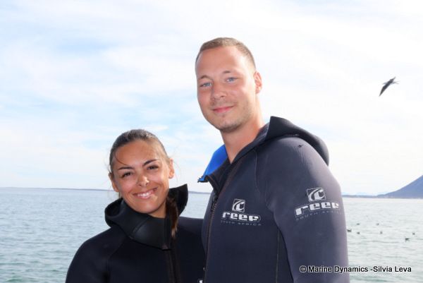 Shark cage diving, South Africa
