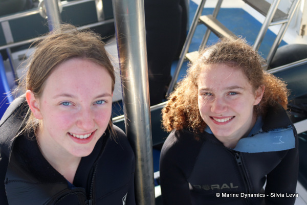 Shark cage diving, South Africa