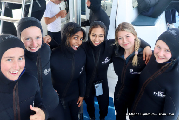 Shark cage diving, South Africa