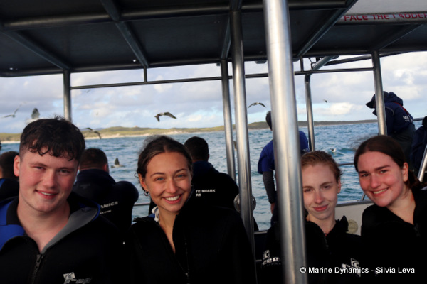 Shark cage diving, South Africa