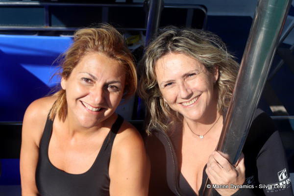 Shark cage diving, South Africa