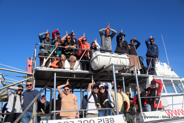 shark cage diving, South Africa